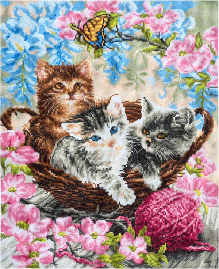 Cats 3