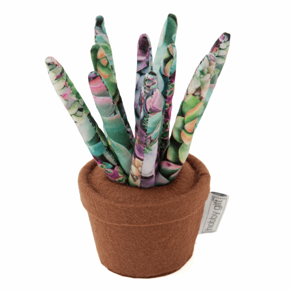spiky succulent pin cushion