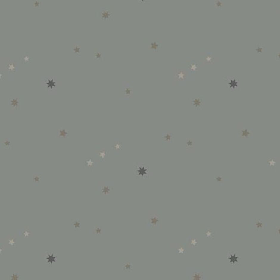 H171863 Orion in grey