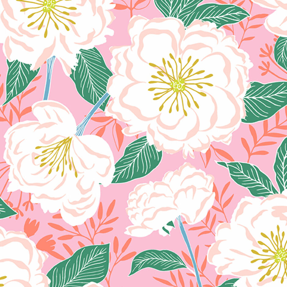 H173843 Camelias in pink