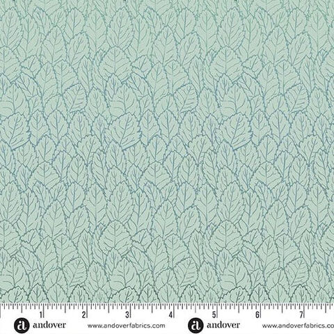 Andover | Groundcover