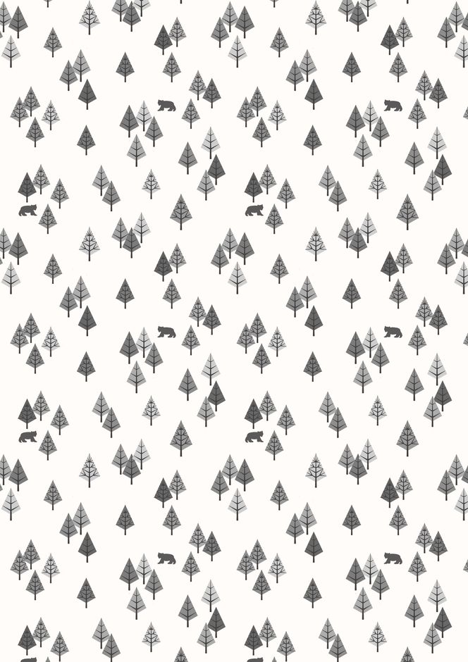 H171588 Wilderness mono