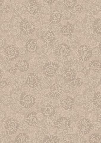 Lewis & Irene – Ammonites (A304)