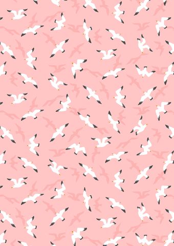 Lewis & Irene | Swanage Seagulls (A368)