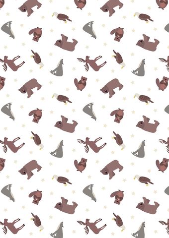 Lewis & Irene – North American Animals