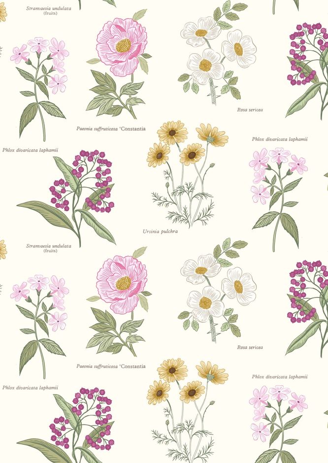 H172462 Botanic Flowers on cream