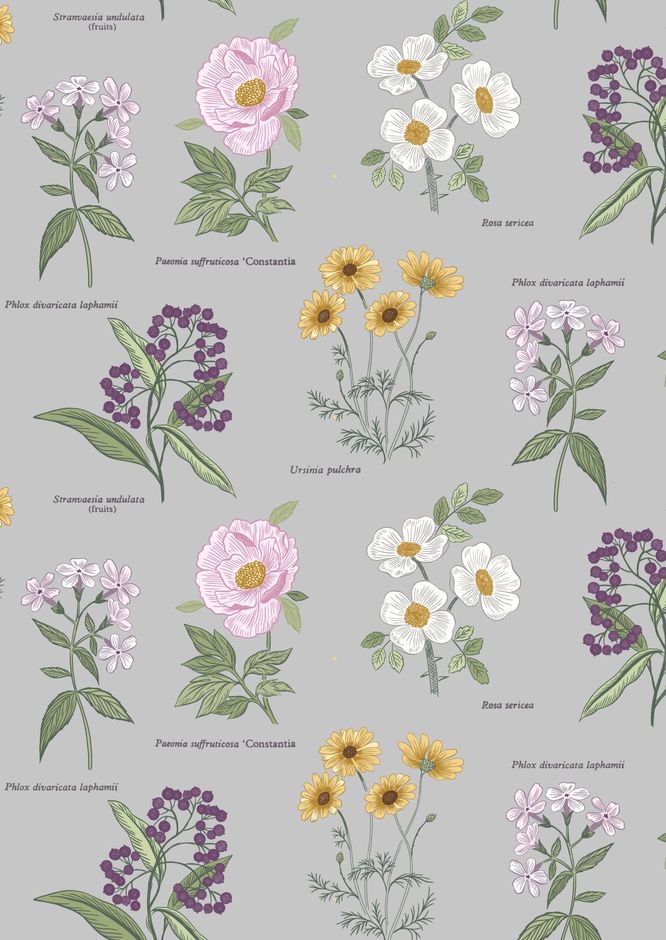 H172463 Botanic Flowers on light grey