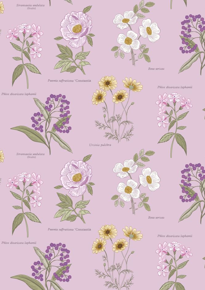 H172464 Botanic Flowers on lilac
