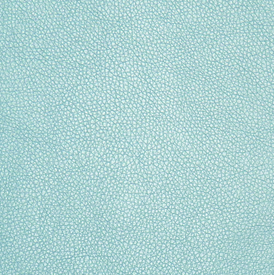 H173497 Duck Egg Blue