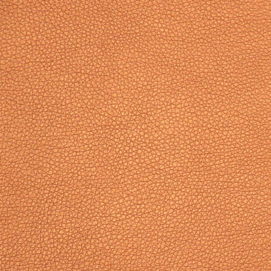 H173498 Copper