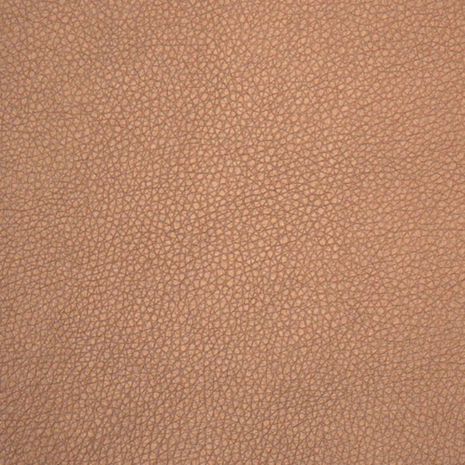 H173499 Bronze Pearl