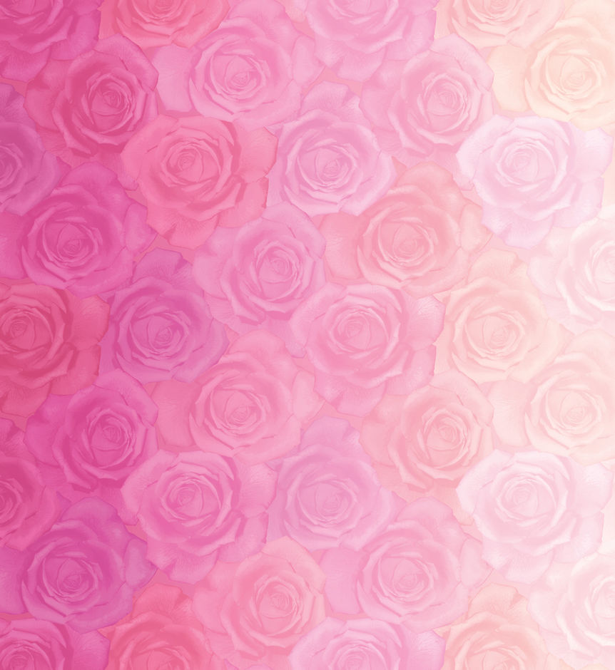 H171634 Parfait Roses
