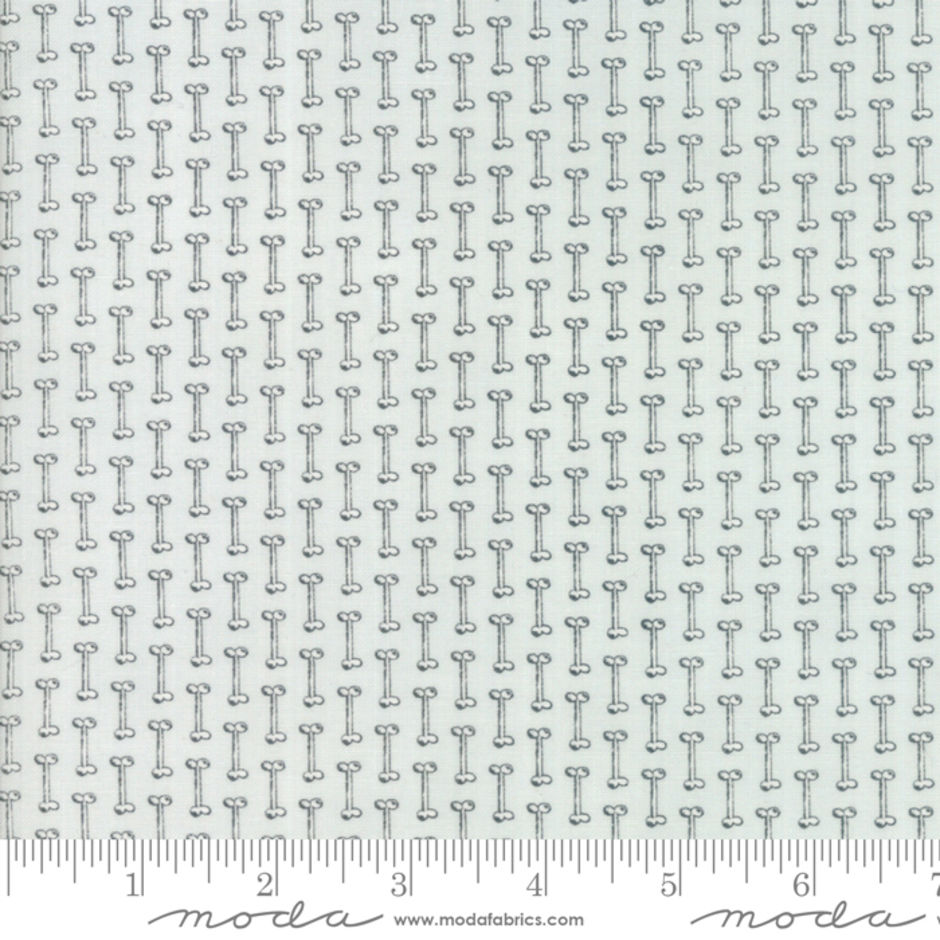 H171728 Bones on aqua