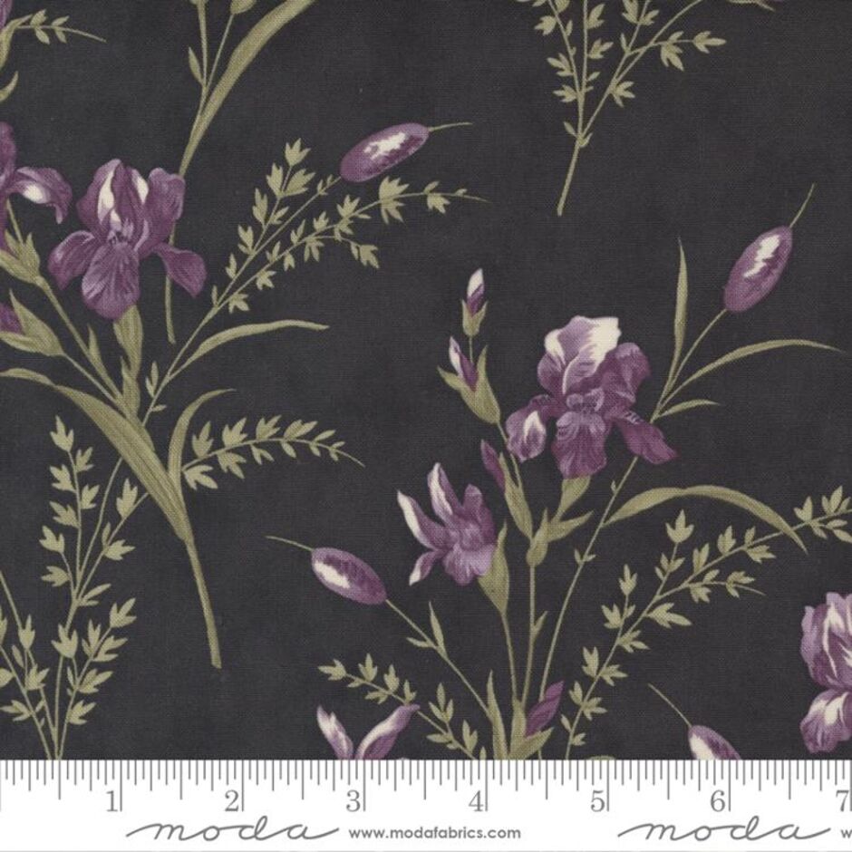 H173806 Large Floral Iris on ebony