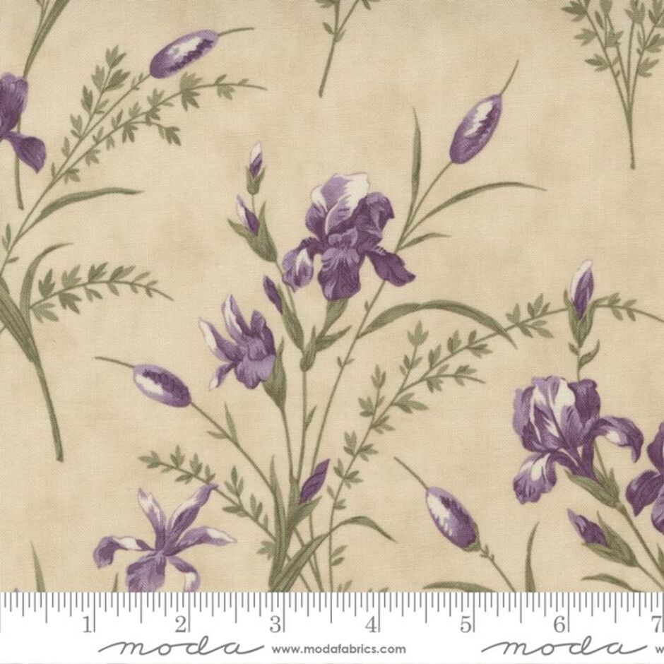 H173813 Large Floral Iris on ivory