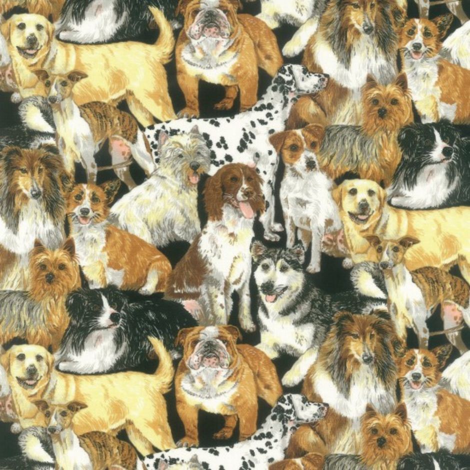 H172842 Doggie Delight