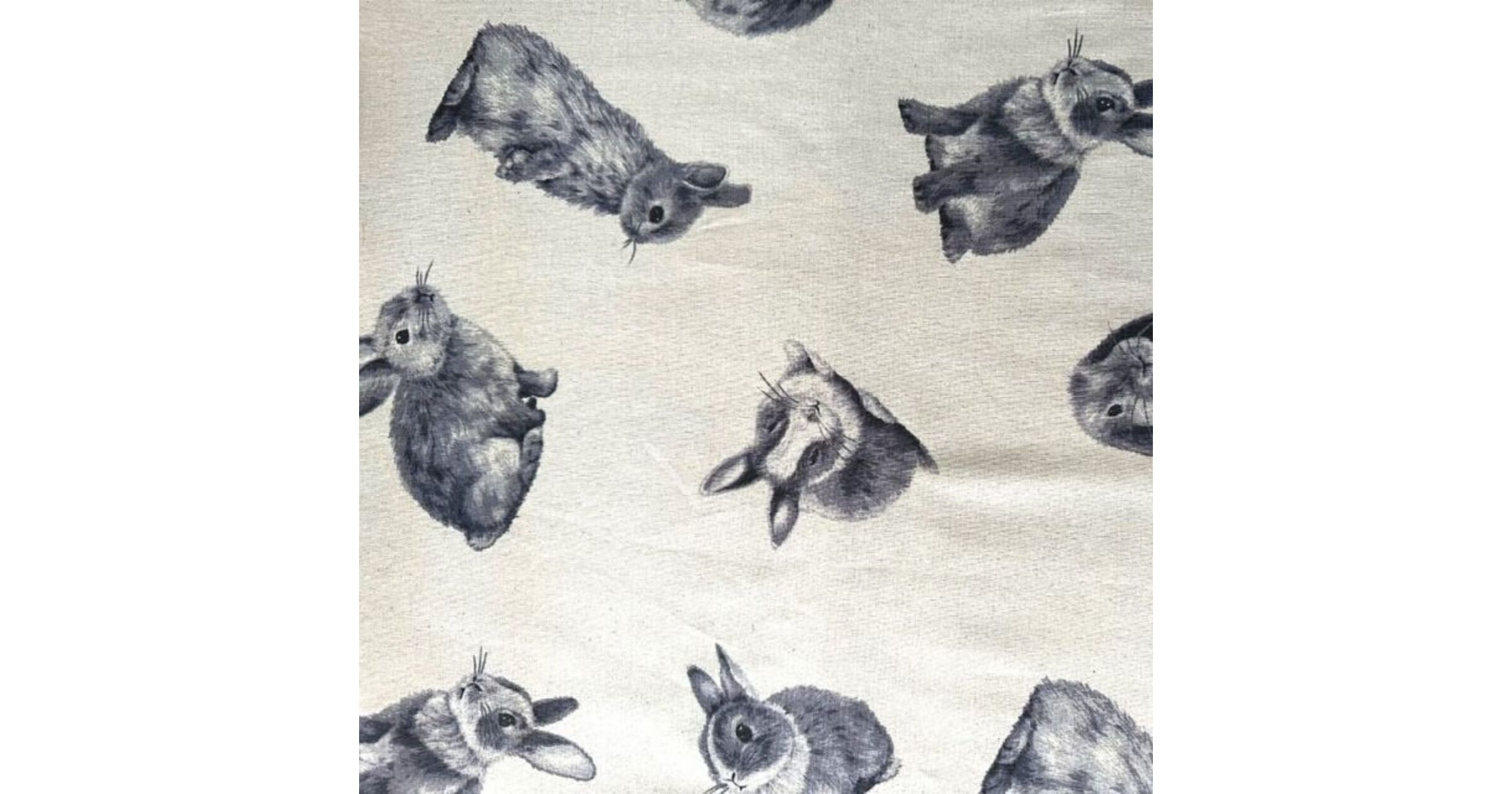 Nutex | Dobutsu Rabbits