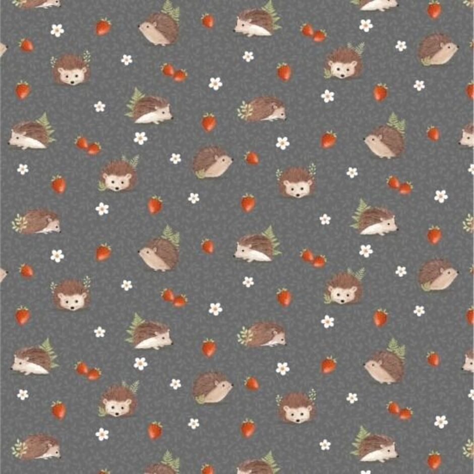 H174349 Forest Wonder hedgehogs