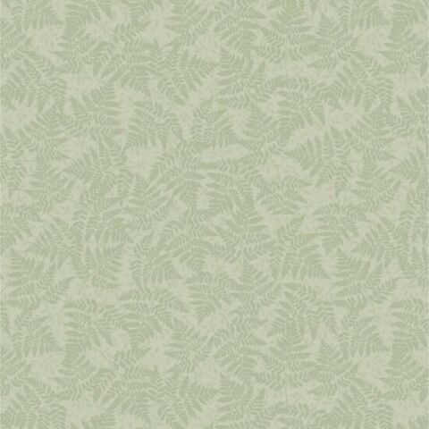 Nutex | Forest Wonder Fern