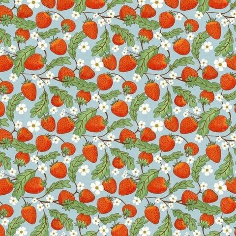 Nutex | Strawberry Plants