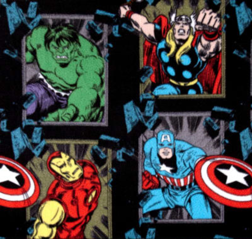 Littondale | Marvel Avengers fleece