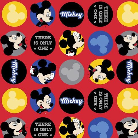 Littondale | There is only one Mickey fleece