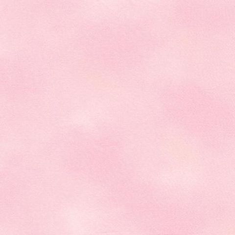 Littondale | Shadow Blush Tea Rose