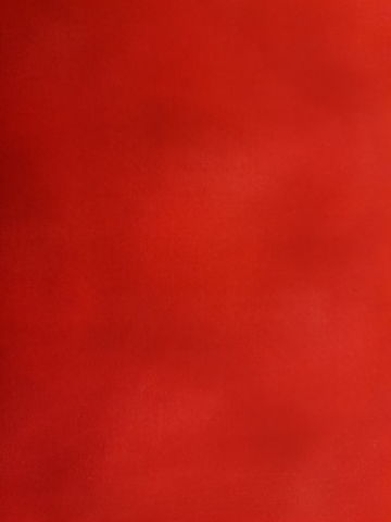 Littondale | Shadow Blush Bright Red