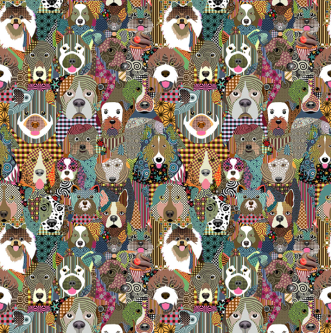 Littondale | Packed Dogs