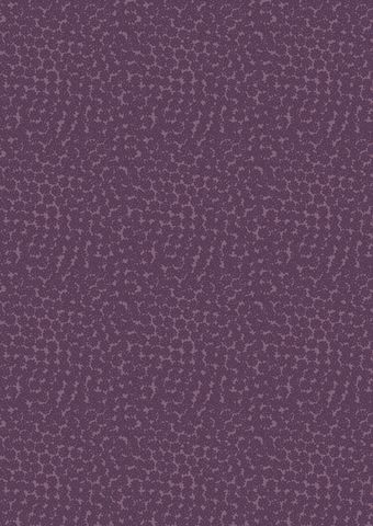 Lewis & Irene | Berries