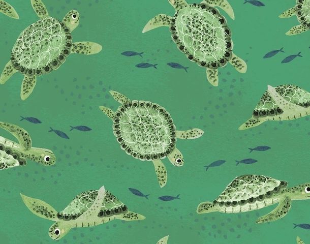 Reynards | Oceans Away Turtles