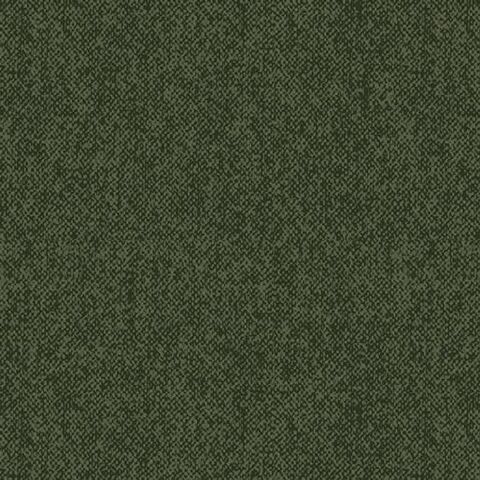 Littondale | Winter Wool Forest