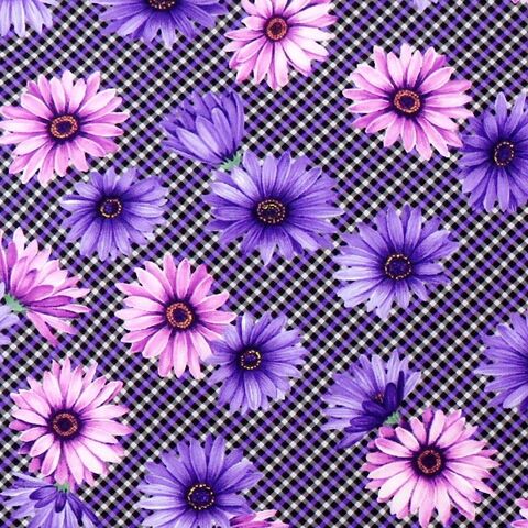 Littondale | Miss Marguerite Plaid Daisies