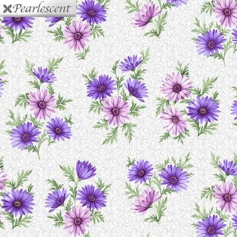 Littondale | Miss Marguerite Daisies on silver scroll