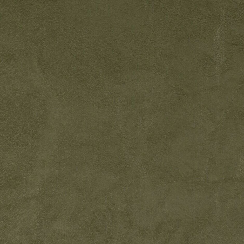 H174343 Olive