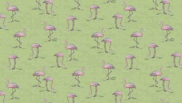 Fern Garden | Flamingo