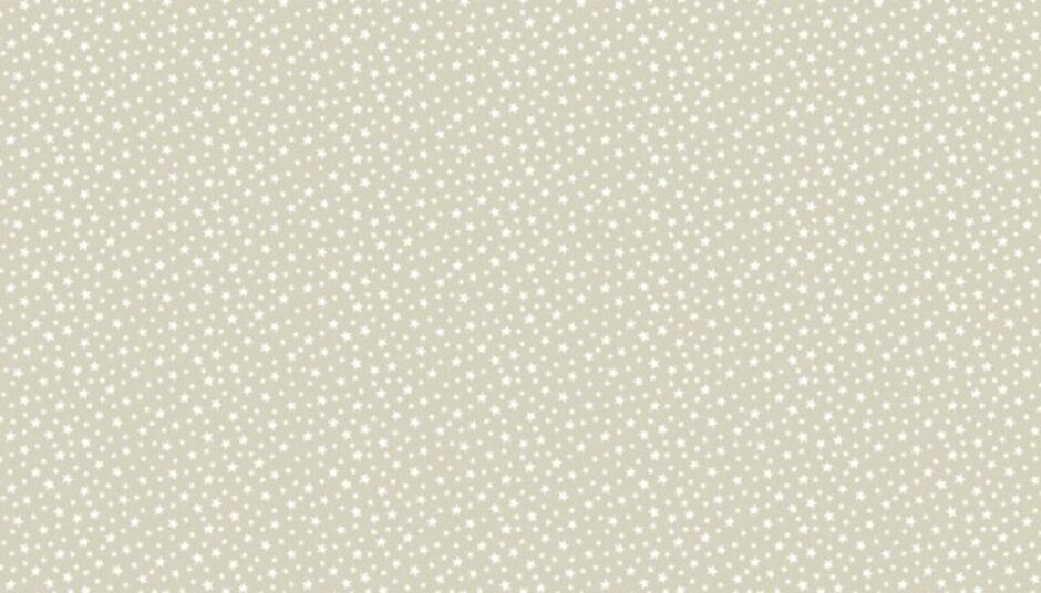 H172532 Star on Oyster