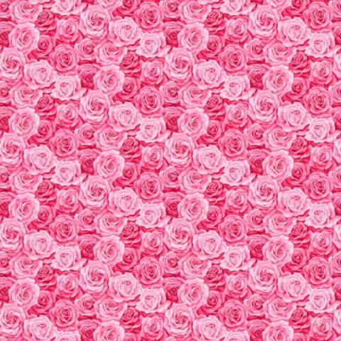 Makower | Packed Rose