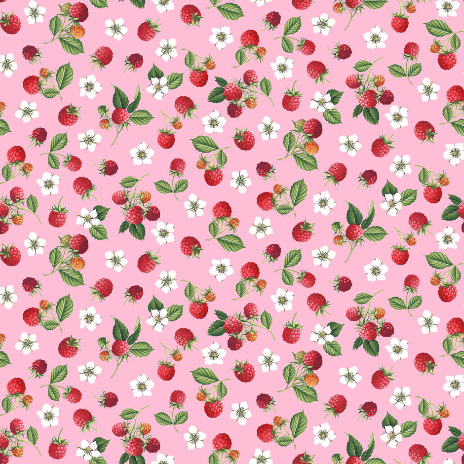 H174038 Raspberries on Pink