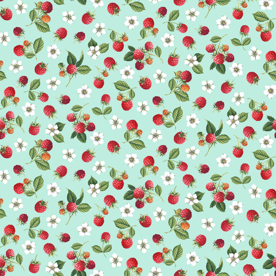 H174039 Raspberries on Light Turquoise
