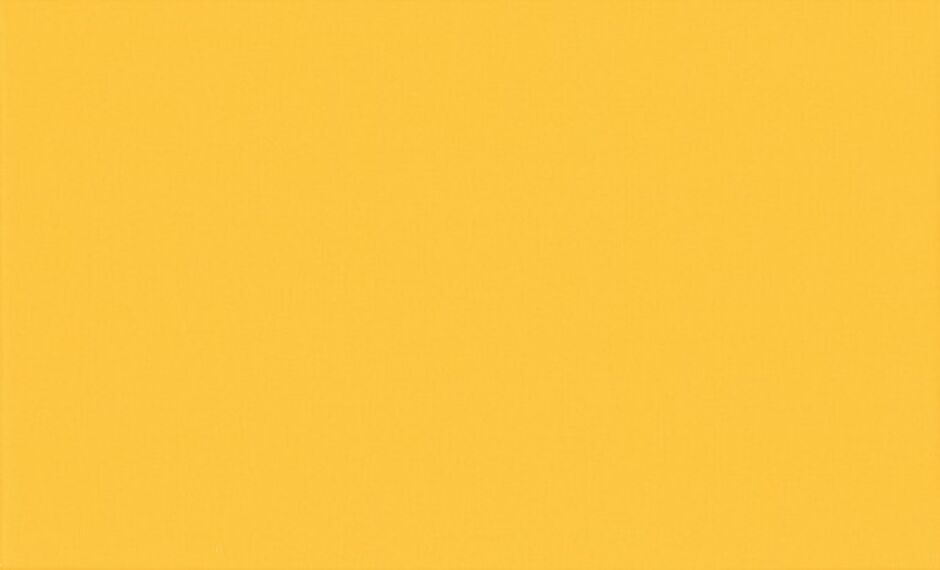 Bright Yellow Y06 H173120