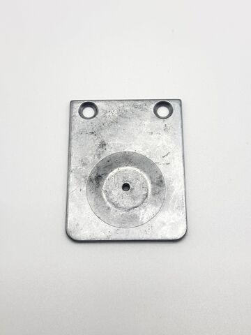 Ricoma Old Style Flat Needle Plate (03021382)