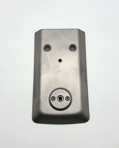 Ricoma Old Style Needle Plate (3011150250)