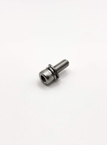 Ricoma M5x16 Screw (80813582)