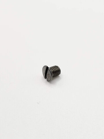 Ricoma Old Style Needle Plate Screw (80924131)